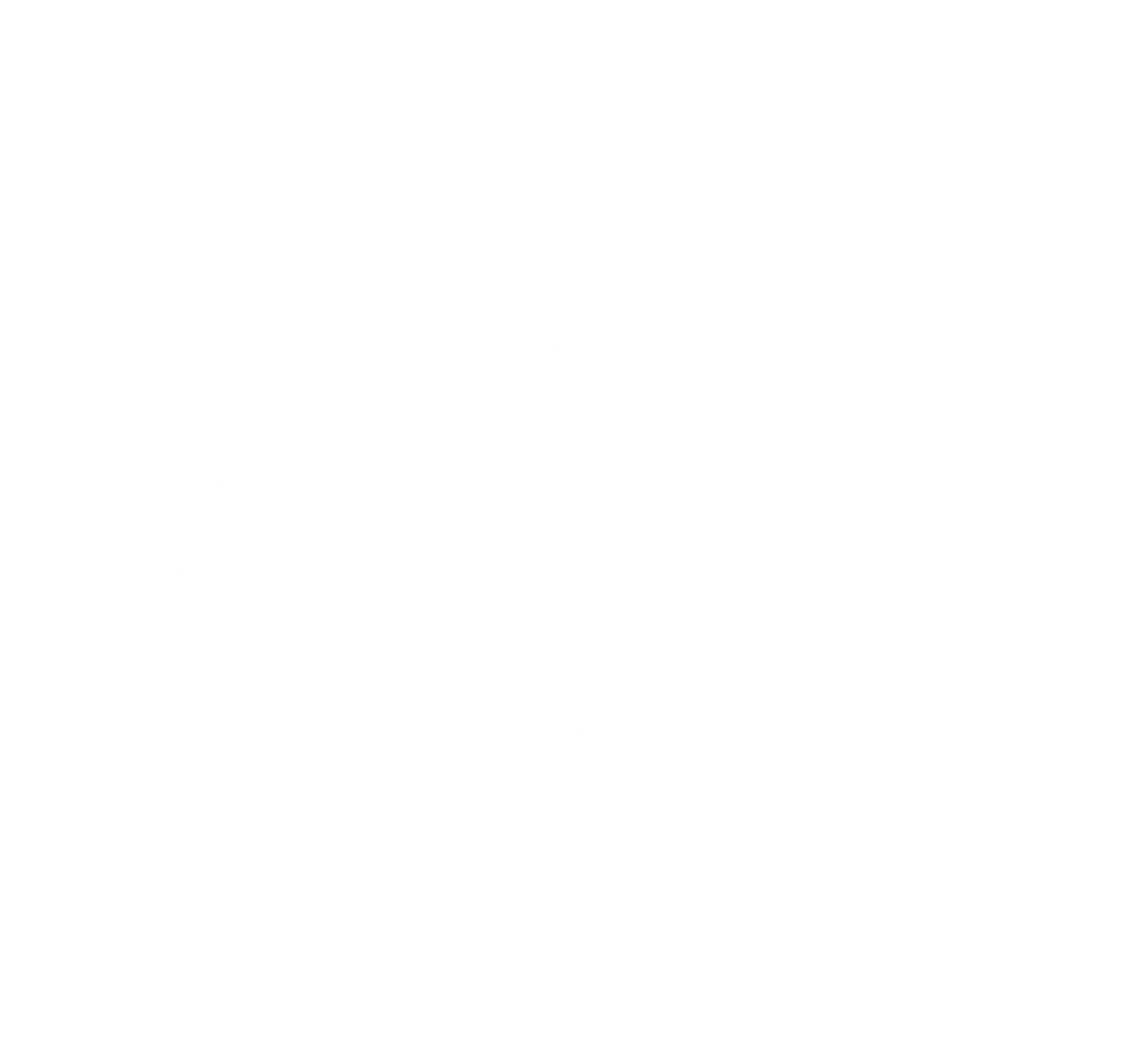 Levels Strength & Nutrition Logo Icon